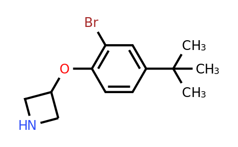 CAS 1219948-65-8 | 3-(2-Bromo-4-(tert-butyl)phenoxy)azetidine