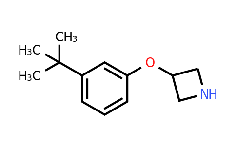 CAS 1219961-14-4 | 3-(3-(tert-Butyl)phenoxy)azetidine