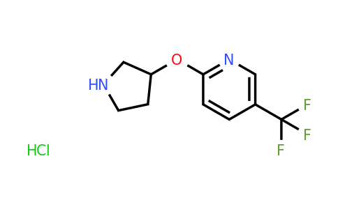 CAS 1220016-29-4 | 2-(pyrrolidin-3-yloxy)-5-(trifluoromethyl)pyridine hydrochloride
