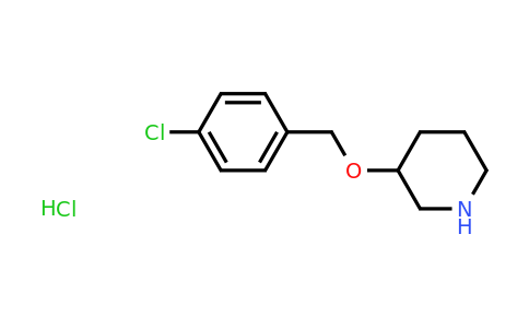 CAS 1220033-10-2 | 3-((4-Chlorobenzyl)oxy)piperidine hydrochloride