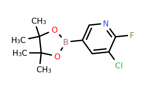 CAS 1220219-73-7 | 3-Chloro-2-fluoro-5-(4,4,5,5-tetramethyl-1,3,2-dioxaborolan-2-YL)pyridine