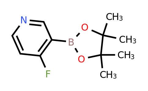 CAS 1220219-91-9 | 4-Fluoro-3-(4,4,5,5-tetramethyl-1,3,2-dioxaborolan-2-YL)pyridine