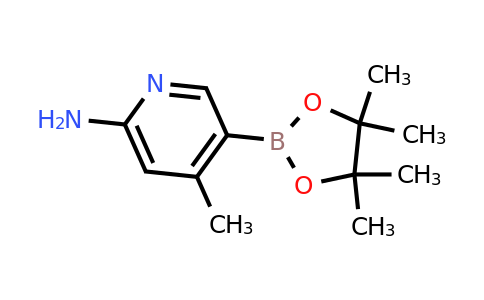 CAS 1220219-94-2 | 6-Amino-4-methylpyridine-3-boronic acid pinacol ester