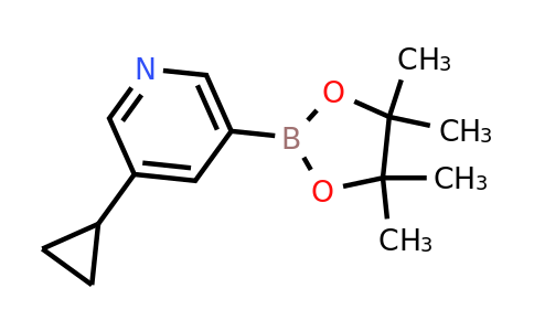CAS 1220696-43-4 | 3-Cyclopropyl-5-(4,4,5,5-tetramethyl-1,3,2-dioxaborolan-2-YL)pyridine