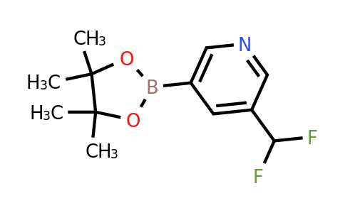 CAS 1220696-58-1 | 3-(difluoromethyl)-5-(4,4,5,5-tetramethyl-1,3,2-dioxaborolan-2-yl)pyridine