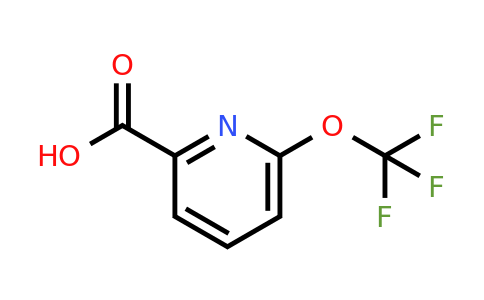 CAS 1221172-11-7 | 6-(trifluoromethoxy)pyridine-2-carboxylic acid