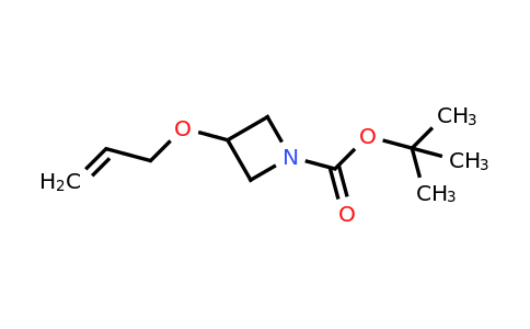 CAS 1221715-81-6 | tert-butyl 3-(prop-2-en-1-yloxy)azetidine-1-carboxylate