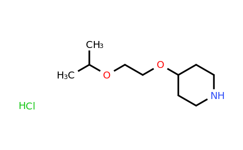 CAS 1221725-64-9 | 4-[2-(propan-2-yloxy)ethoxy]piperidine hydrochloride