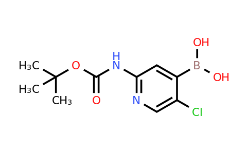 CAS 1222522-36-2 | 2-(Tert-butoxycarbonylamino)-5-chloropyridin-4-ylboronic acid