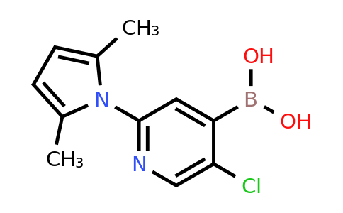 CAS 1222522-37-3 | 2-(2,5-Dimethylpyrrol-1-YL)-5-chloropyridine-4-boronic acid