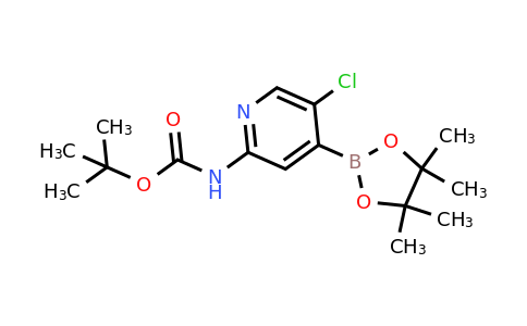 CAS 1222522-39-5 | 2-(Tertbutyloxycarbonylamino)-5-chloropyridine-4-boronic acid pinacol ester