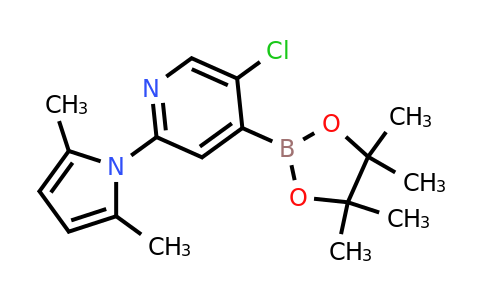 CAS 1222522-40-8 | 2-(2,5-Dimethylpyrrol-1-YL)-5-chloropyridine-4-boronic acid pinacol ester