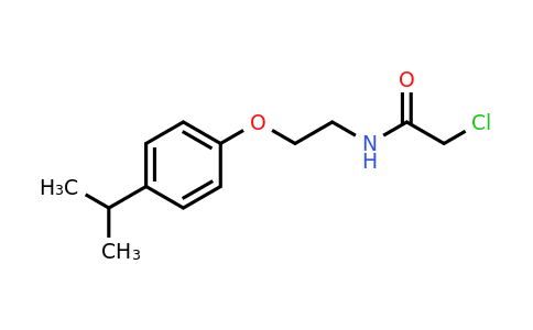 CAS 1225489-07-5 | 2-Chloro-N-{2-[4-(propan-2-yl)phenoxy]ethyl}acetamide