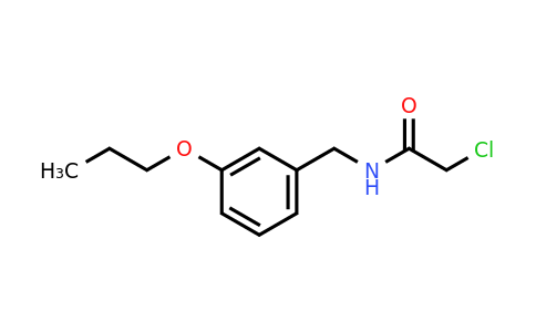 CAS 1226036-22-1 | 2-Chloro-N-[(3-propoxyphenyl)methyl]acetamide