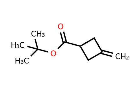 CAS 122699-51-8 | 3-Methylene-cyclobutanecarboxylic acid tert-butyl ester