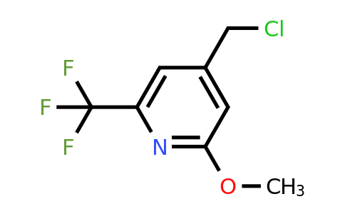 CAS 1227502-28-4 | 4-(Chloromethyl)-2-methoxy-6-(trifluoromethyl)pyridine