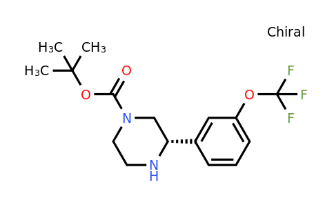 CAS 1228550-59-1 | (S)-3-(3-Trifluoromethoxy-phenyl)-piperazine-1-carboxylic acid tert-butyl ester