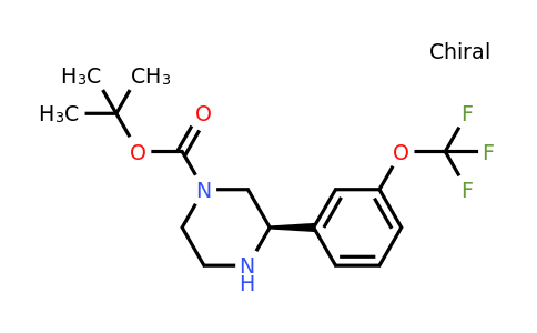 CAS 1228566-19-5 | (R)-3-(3-Trifluoromethoxy-phenyl)-piperazine-1-carboxylic acid tert-butyl ester