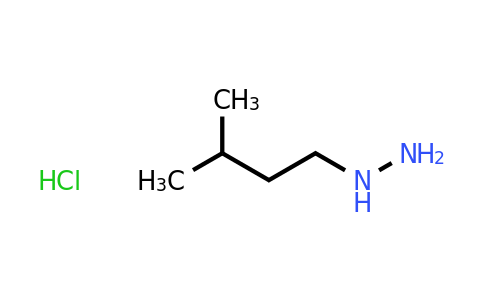CAS 1231245-19-4 | (3-methylbutyl)hydrazine hydrochloride