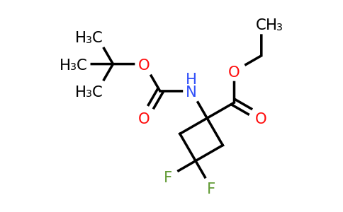 CAS 1232365-41-1 | ethyl 1-(tert-butoxycarbonylamino)-3,3-difluoro-cyclobutanecarboxylate