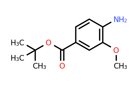 CAS 123330-92-7 | tert-Butyl 4-amino-3-methoxybenzoate
