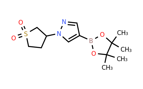 CAS 1233526-31-2 | 1-(tetrahydro-1,1-dioxido-3-thienyl)pyrazole-4-boronic acid pinacol ester