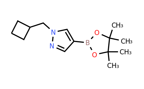 CAS 1233526-47-0 | 1-(cyclobutylmethyl)-4-(tetramethyl-1,3,2-dioxaborolan-2-yl)-1H-pyrazole