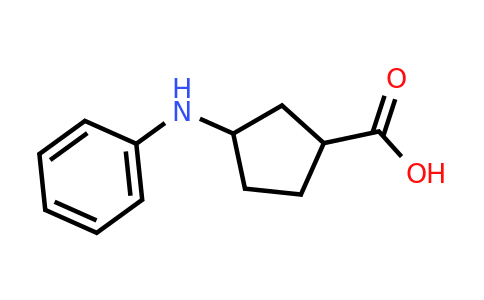 CAS 1233927-35-9 | 3-(Phenylamino)cyclopentanecarboxylic acid