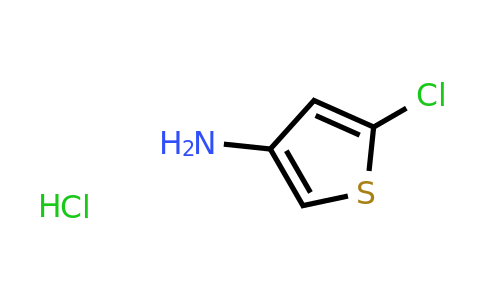 CAS 123403-75-8 | 3-Amino-5-chlorothiophene hydrochloride