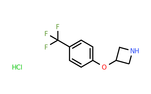 CAS 1236862-38-6 | 3-(4-Trifluoromethyl-phenoxy)-azetidine hydrochloride