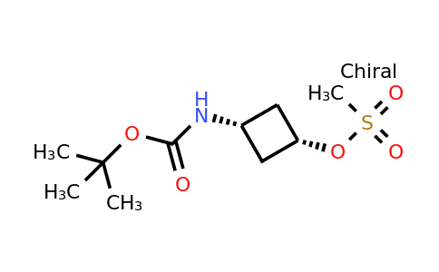 CAS 1239589-50-4 | cis-tert-butyl N-[3-(methanesulfonyloxy)cyclobutyl]carbamate