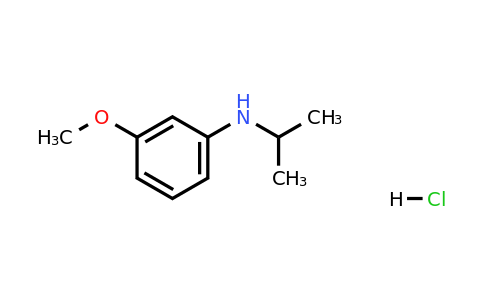 CAS 1240527-18-7 | N-Isopropyl-3-methoxyaniline hydrochloride