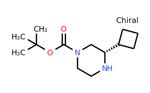CAS 1240582-64-2 | (S)-3-Cyclobutyl-piperazine-1-carboxylic acid tert-butyl ester