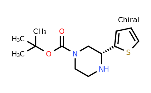 CAS 1240586-11-1 | (R)-3-Thiophen-2-YL-piperazine-1-carboxylic acid tert-butyl ester