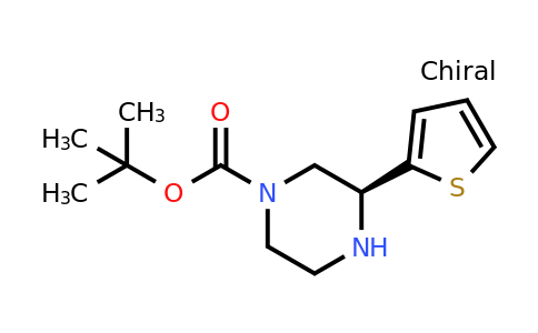 CAS 1240586-20-2 | (S)-3-Thiophen-2-YL-piperazine-1-carboxylic acid tert-butyl ester