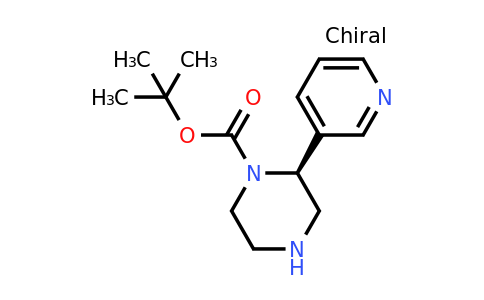 CAS 1240587-99-8 | (S)-2-Pyridin-3-YL-piperazine-1-carboxylic acid tert-butyl ester