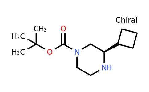 CAS 1240588-04-8 | (R)-3-Cyclobutyl-piperazine-1-carboxylic acid tert-butyl ester