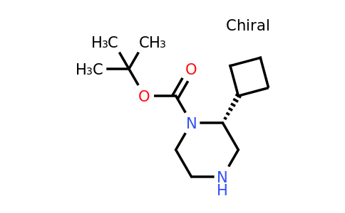 CAS 1240588-17-3 | (R)-2-Cyclobutyl-piperazine-1-carboxylic acid tert-butyl ester
