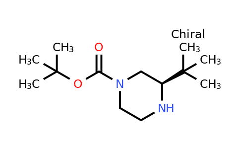 CAS 1240588-24-2 | (R)-3-Tert-butyl-piperazine-1-carboxylic acid tert-butyl ester