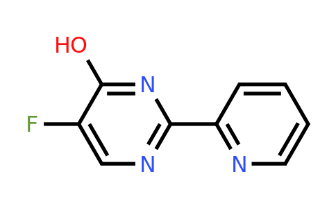 CAS 1240596-22-8 | 5-Fluoro-2-(pyridin-2-yl)pyrimidin-4-ol
