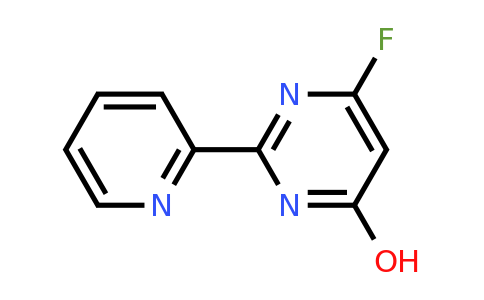 CAS 1240601-22-2 | 6-fluoro-2-(pyridin-2-yl)pyrimidin-4-ol