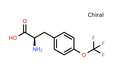 CAS 1241677-90-6 | (2R)-2-Amino-3-[4-(trifluoromethoxy)phenyl]propanoic acid