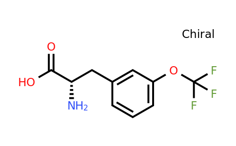 CAS 1241678-35-2 | (2S)-2-Amino-3-[3-(trifluoromethoxy)phenyl]propanoic acid