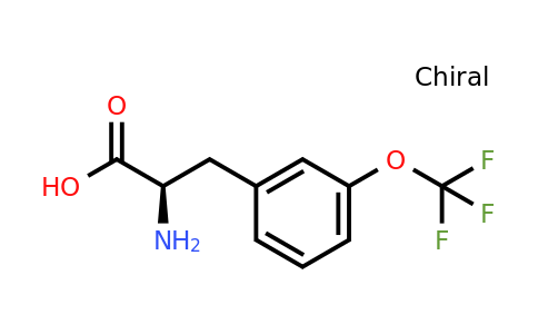 CAS 1241681-55-9 | (2R)-2-Amino-3-[3-(trifluoromethoxy)phenyl]propanoic acid