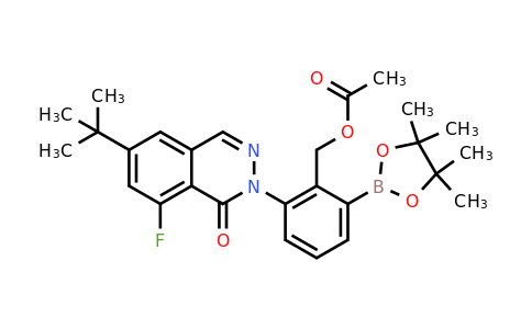 CAS 1242156-76-8 | acetic acid 2-(6-tert-butyl-8-fluoro-1-oxo-1h-phthalazin-2-yl)-6-(4,4,5,5-tetramethyl-[1,3,2]dioxaborolan-2-yl)benzyl ester