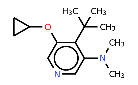 CAS 1243281-68-6 | 4-Tert-butyl-5-cyclopropoxy-N,n-dimethylpyridin-3-amine