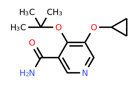 CAS 1243283-64-8 | 4-Tert-butoxy-5-cyclopropoxynicotinamide