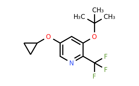 CAS 1243283-70-6 | 3-Tert-butoxy-5-cyclopropoxy-2-(trifluoromethyl)pyridine