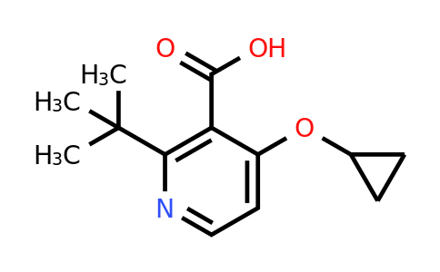 CAS 1243283-80-8 | 2-Tert-butyl-4-cyclopropoxynicotinic acid