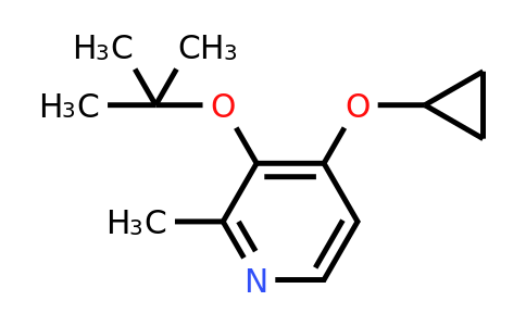 CAS 1243284-30-1 | 3-Tert-butoxy-4-cyclopropoxy-2-methylpyridine